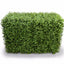 Deluxe Portable Buxus Hedges UV Stabilised 100cm Long X 55cm High-0