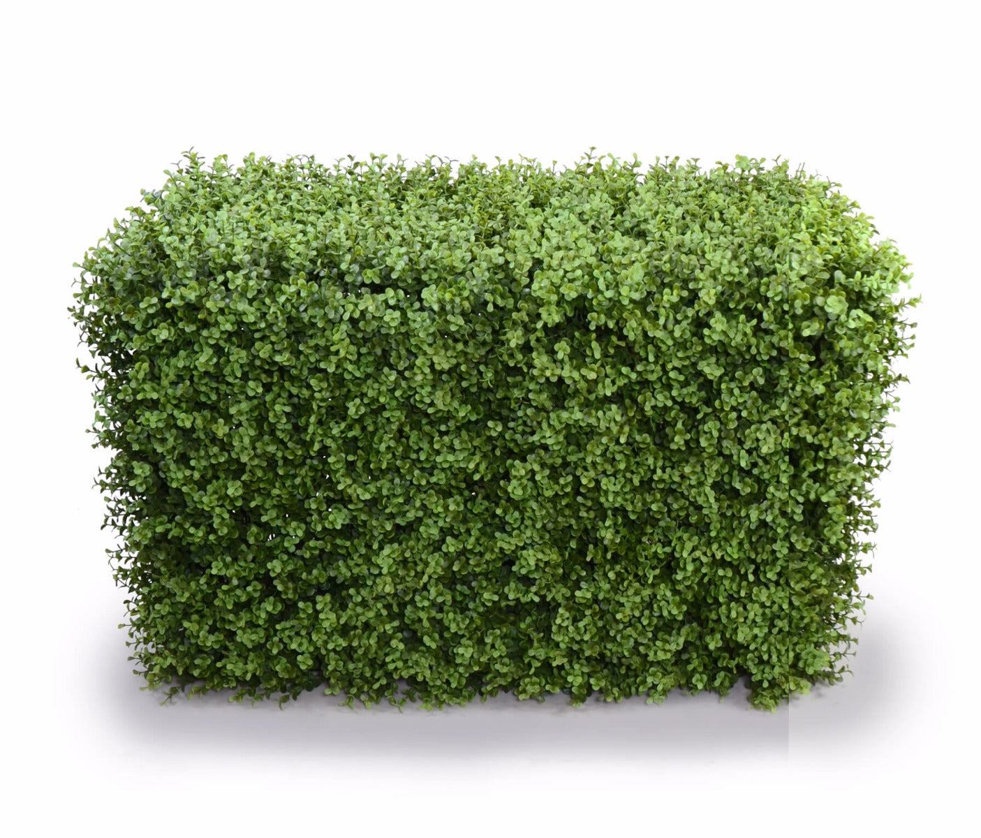 Deluxe Portable Buxus Hedges UV Stabilised 100cm Long X 55cm High-0