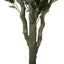 Artificial Bushy Olive Tree with Olives 180cm-2