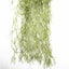 Artificial Air Plant Spanish Moss - Old Man Beard 60cm-2