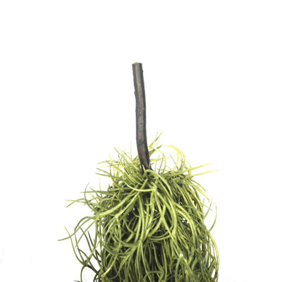 Artificial Air Plant Spanish Moss - Old Man Beard 60cm-1