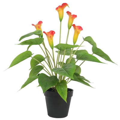 Artificial Flowering White & Orange Peace Lily / Calla Lily Plant 50cm-0