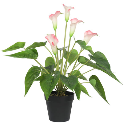 Artificial Flowering White & Pink Peace Lily / Calla Lily Plant 50cm-0