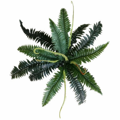 Artificial Dark Green Boston Fern 60cm-0