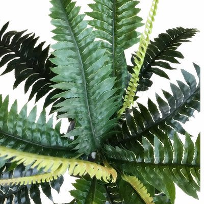 Artificial Dark Green Boston Fern 60cm-1