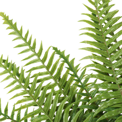 Artificial Fern (Lady Fern) 50cm UV Resistant-1