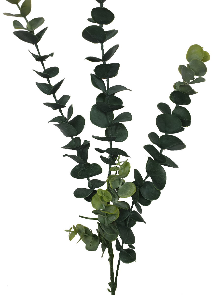 5 Pack - Long Eucalyptus Stem 77 cm-0