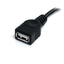 StarTech.com 10 ft Black USB 2.0 Extension Cable A to A - M/F-2