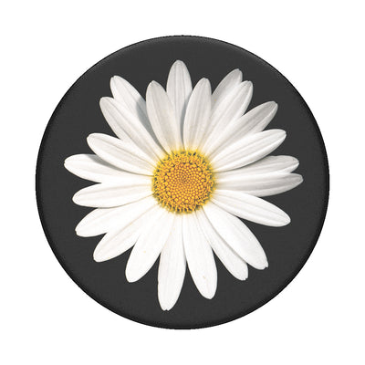 PopGrip (Gen 2) - White Daisy-0