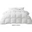 Giselle Bedding 700GSM Duck Down Feather Quilt King-1