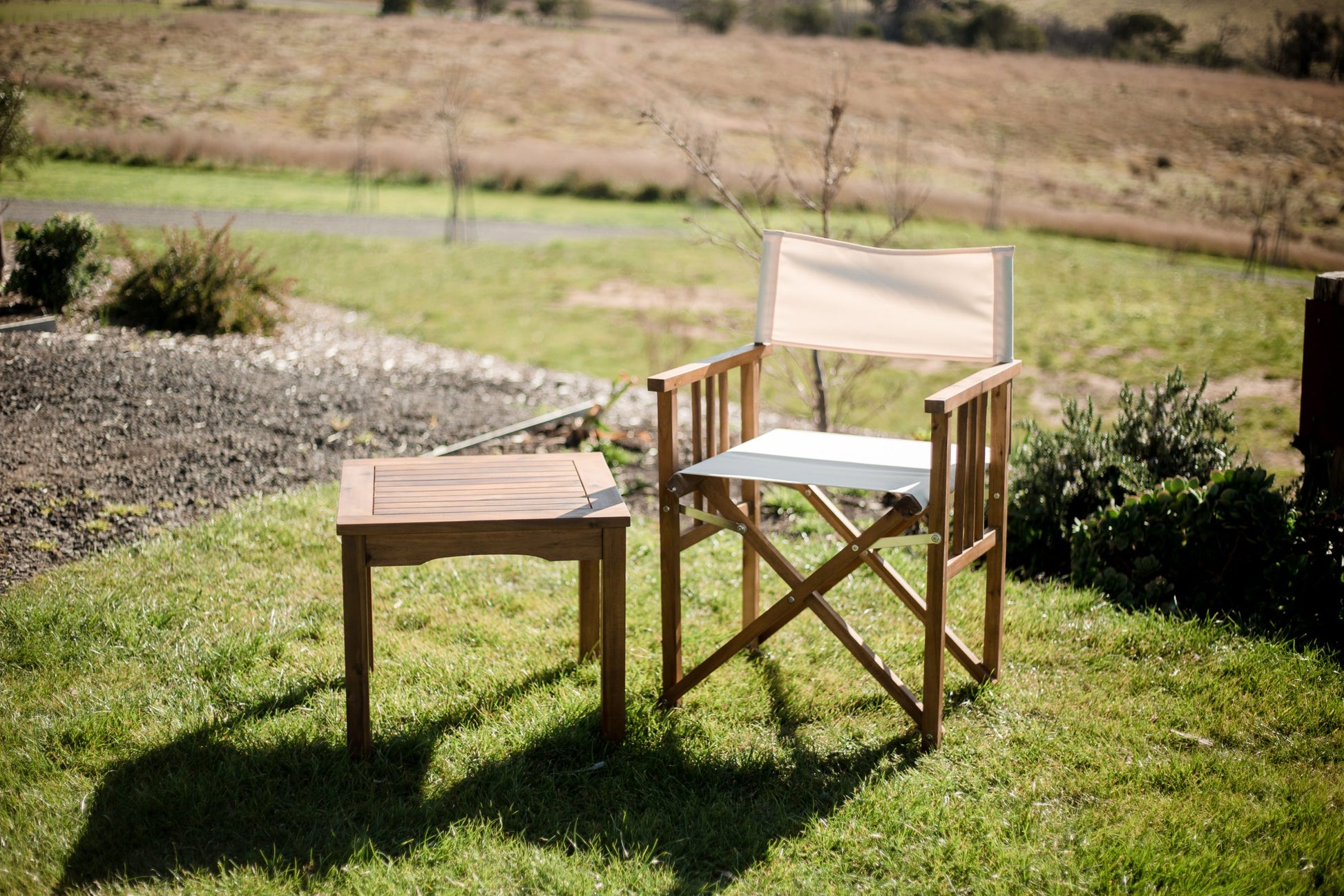 Director Chair and Side Table-0