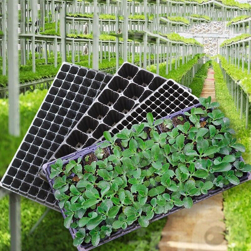 12x 72 Hole Plant Seed Grow Box Insert Propagation Nursery Seedling Starter Tray-2