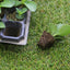 12x 72 Hole Plant Seed Grow Box Insert Propagation Nursery Seedling Starter Tray-5