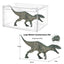 Dinosaur Toy Jurassic World Indominus Rex Tyrannosaurus Indoraptor Figure Model-3