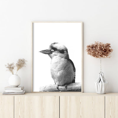 Wall Art 80cmx120cm Kookaburra Black Frame Canvas-1