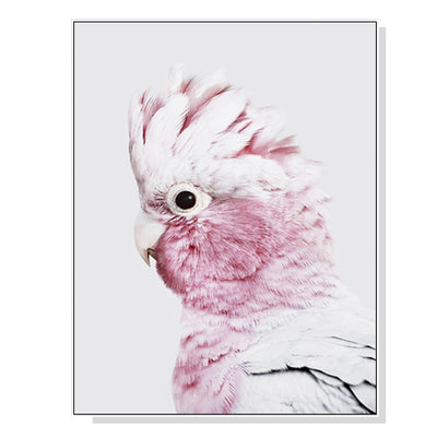 Wall Art 60cmx90cm Pink Galah White Frame Canvas-0