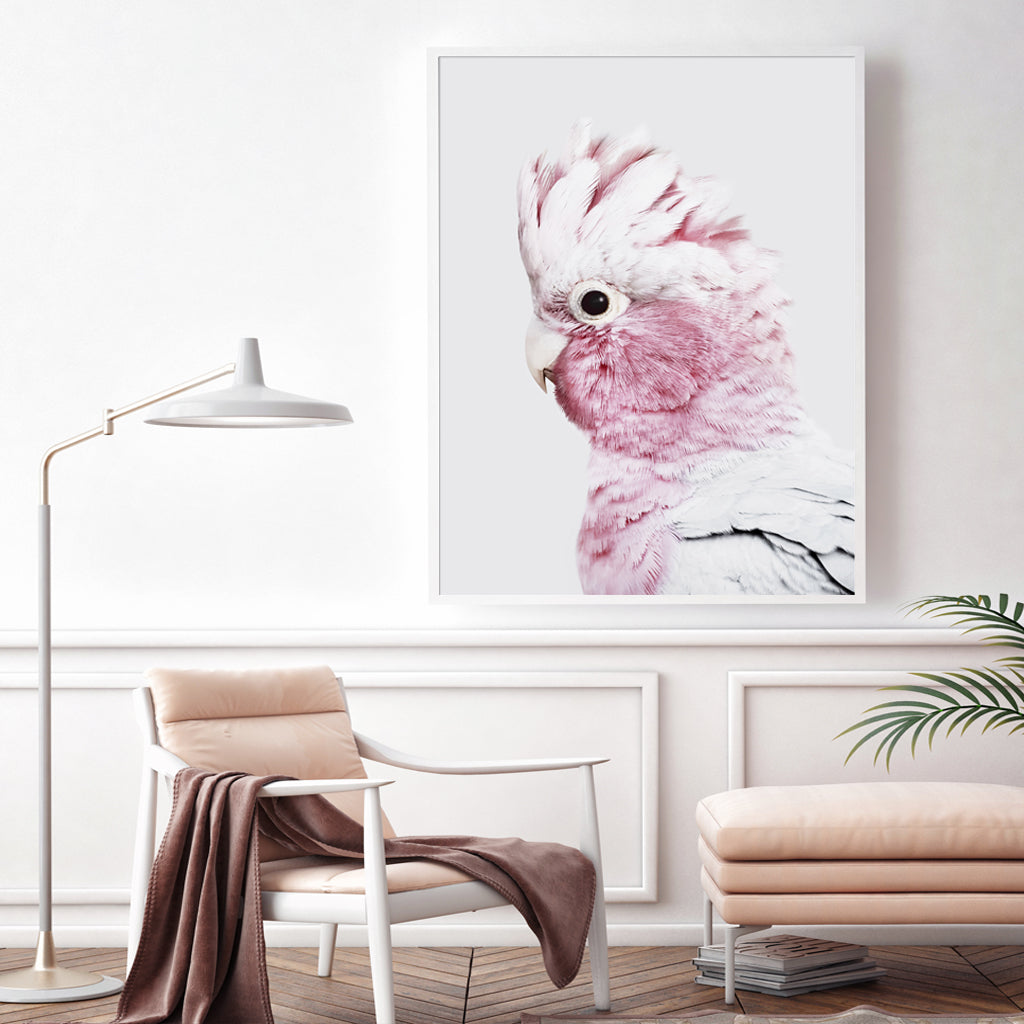 Wall Art 60cmx90cm Pink Galah White Frame Canvas-1