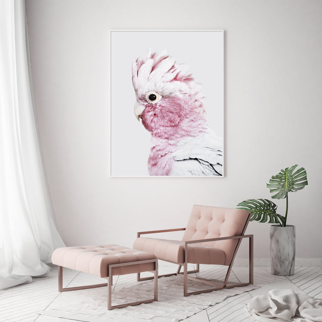 Wall Art 60cmx90cm Pink Galah White Frame Canvas-3