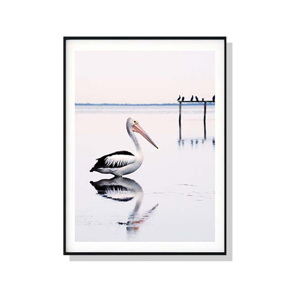 Wall Art 60cmx90cm Pelican Black Frame Canvas-0