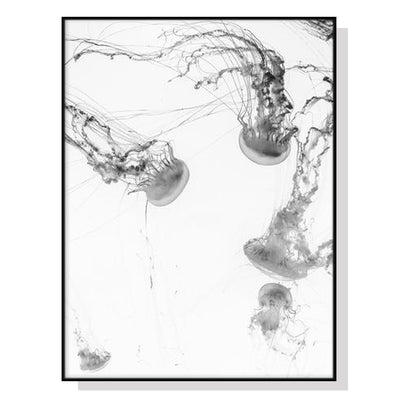 Wall Art 50cmx70cm Jellyfish Black Frame Canvas-0