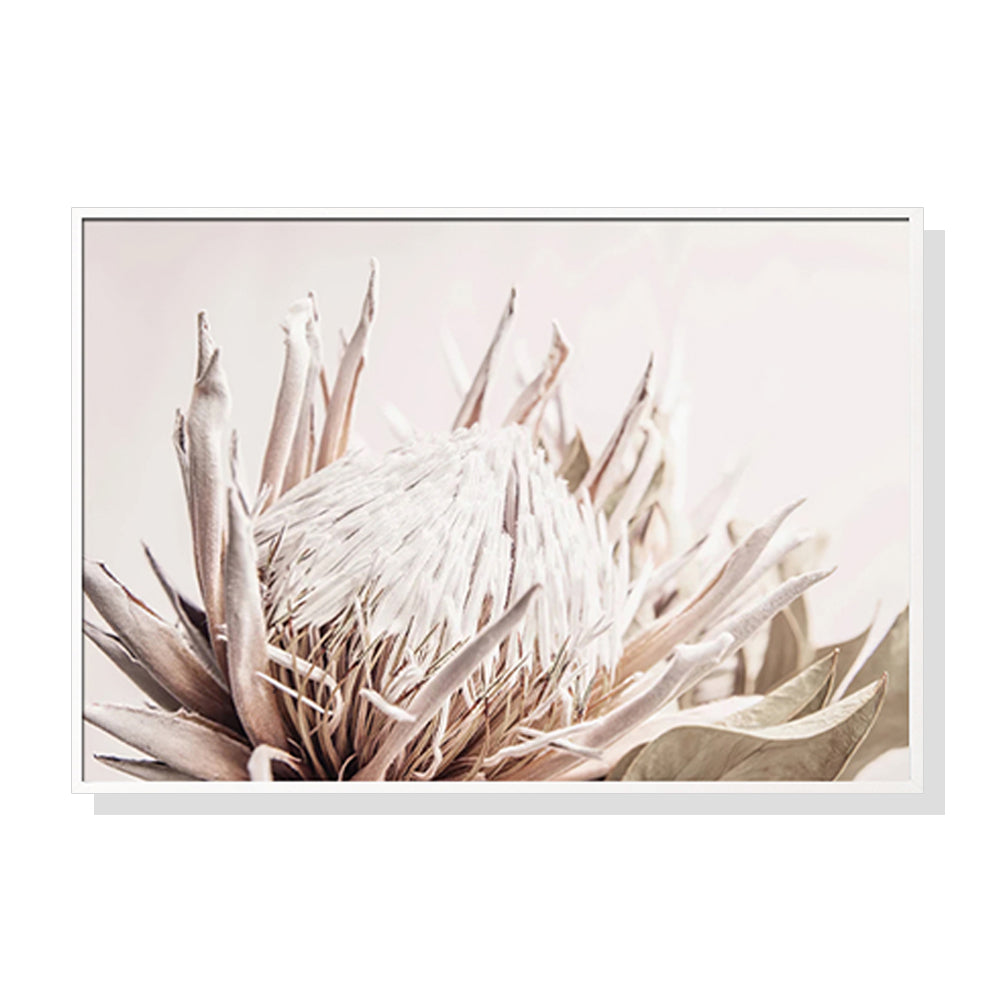 Wall Art 60cmx90cm Pure Protea II White Frame Canvas-0