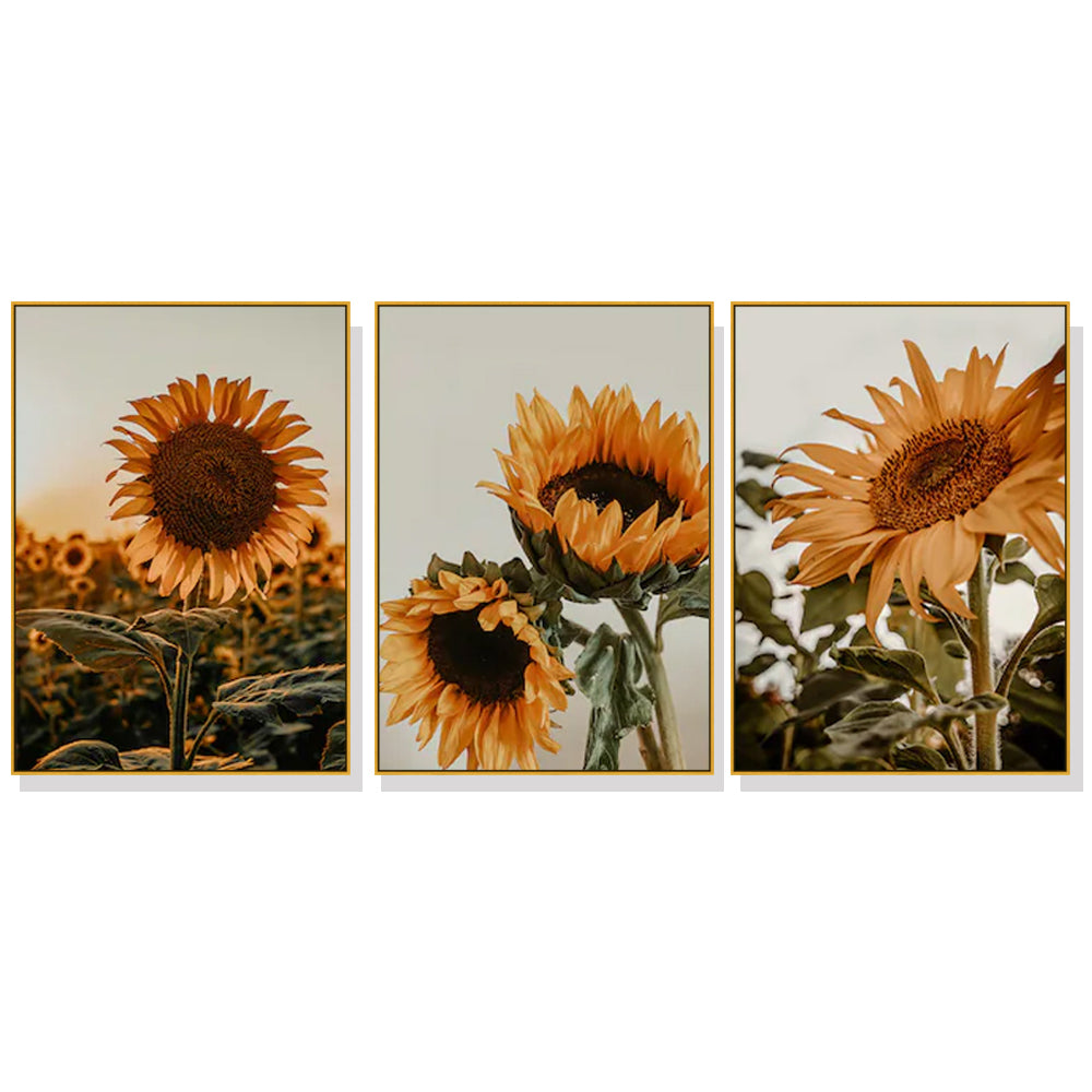 Wall Art 80cmx120cm Sunflower 3 Sets Gold Frame Canvas-0