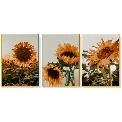 Wall Art 50cmx70cm Sunflower 3 Sets Gold Frame Canvas-0