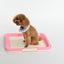 YES4PETS Large Portable Dog Potty Training Tray Pet Puppy Toilet Trays Loo Pad Mat Pink-2