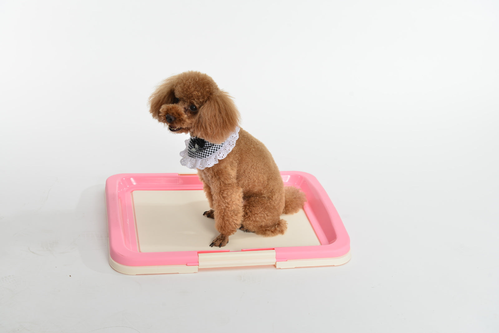 YES4PETS Large Portable Dog Potty Training Tray Pet Puppy Toilet Trays Loo Pad Mat Pink-2