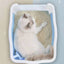 YES4PETS Large Deep Cat Kitty Litter Tray High Wall Pet Toilet Tray With Scoop Blue-4