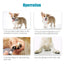 YES4PETS Electric Pet Dog Cat Quiet Nail Grinder Clipper Cutter Trimmer Grooming Care-5