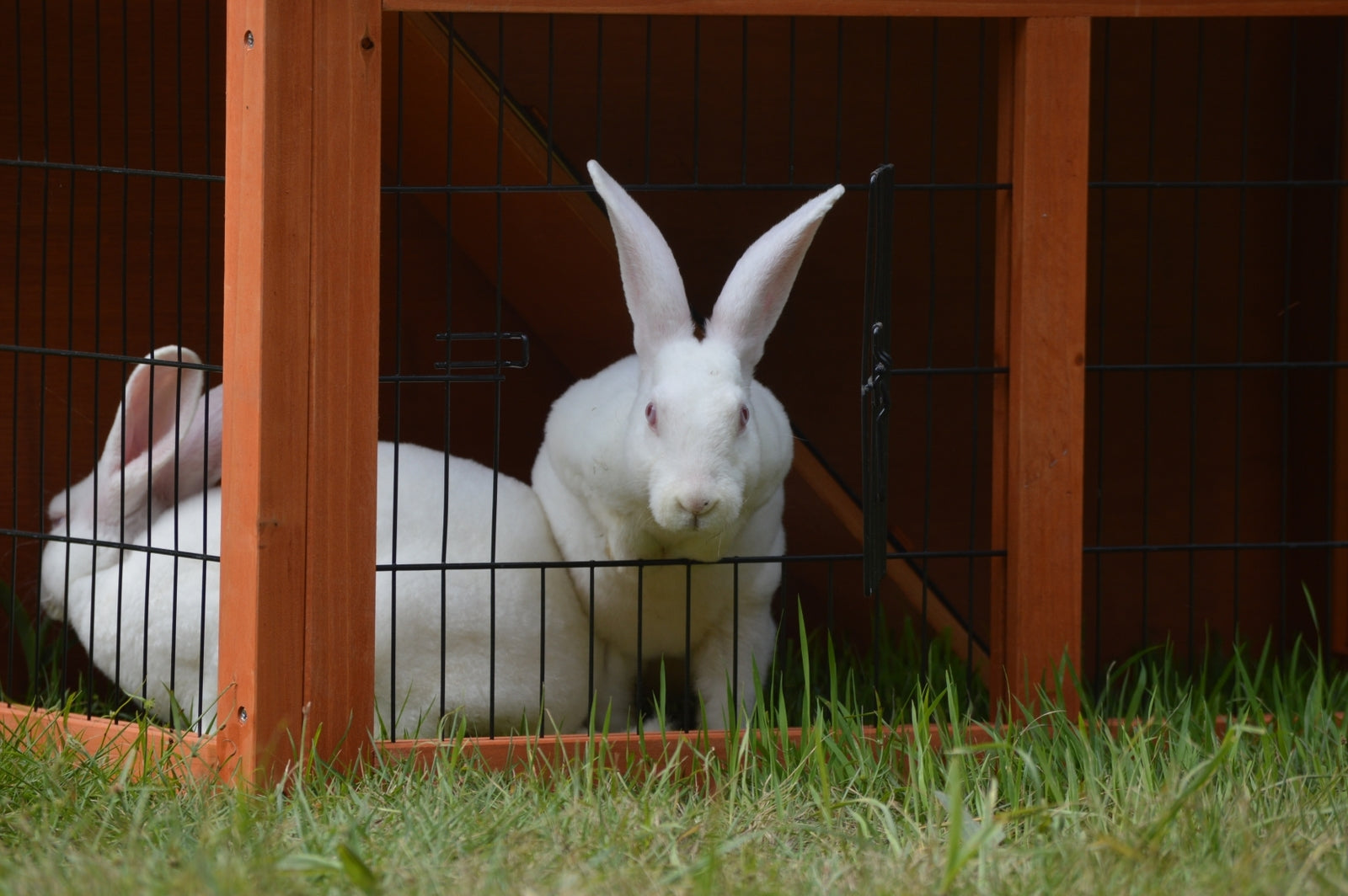 YES4PETS Double Storey Rabbit Hutch Guinea Pig Cage , Ferret cage W Pull Out Tray-2