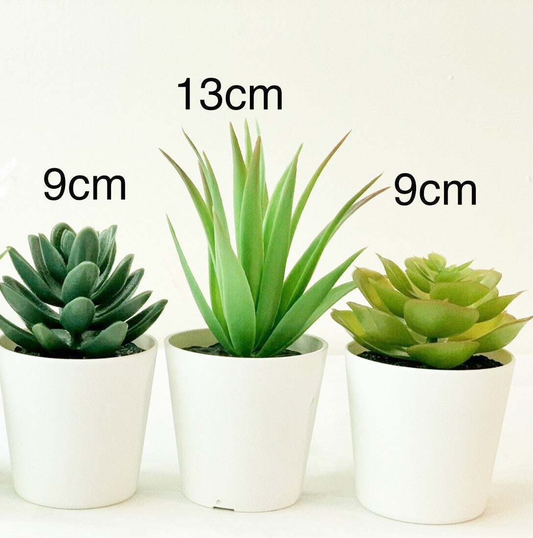 3 Pack of Artificial Succulent Potted Plants in White Plastic 6cm Pot Interior Decoration-2