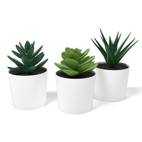 3 Pack of Artificial Succulent Potted Plants in White Plastic 6cm Pot Interior Decoration-4