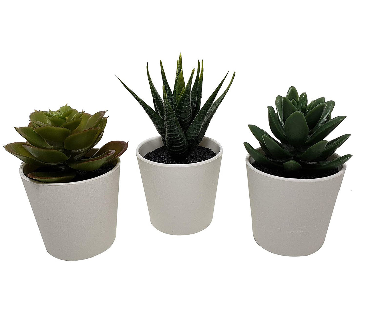 3 Pack of Artificial Succulent Potted Plants in White Plastic 6cm Pot Interior Decoration-5