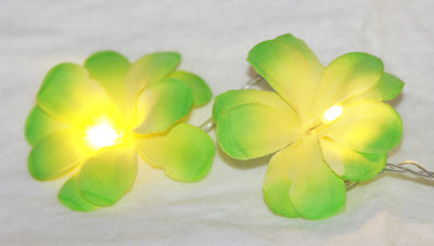 1 Set of 20 LED Green Frangipani Flower Battery String Lights Christmas Gift Home Wedding Party Decoration Outdoor Table Garland Wreath-0