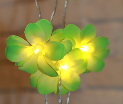 1 Set of 20 LED Green Frangipani Flower Battery String Lights Christmas Gift Home Wedding Party Decoration Outdoor Table Garland Wreath-1