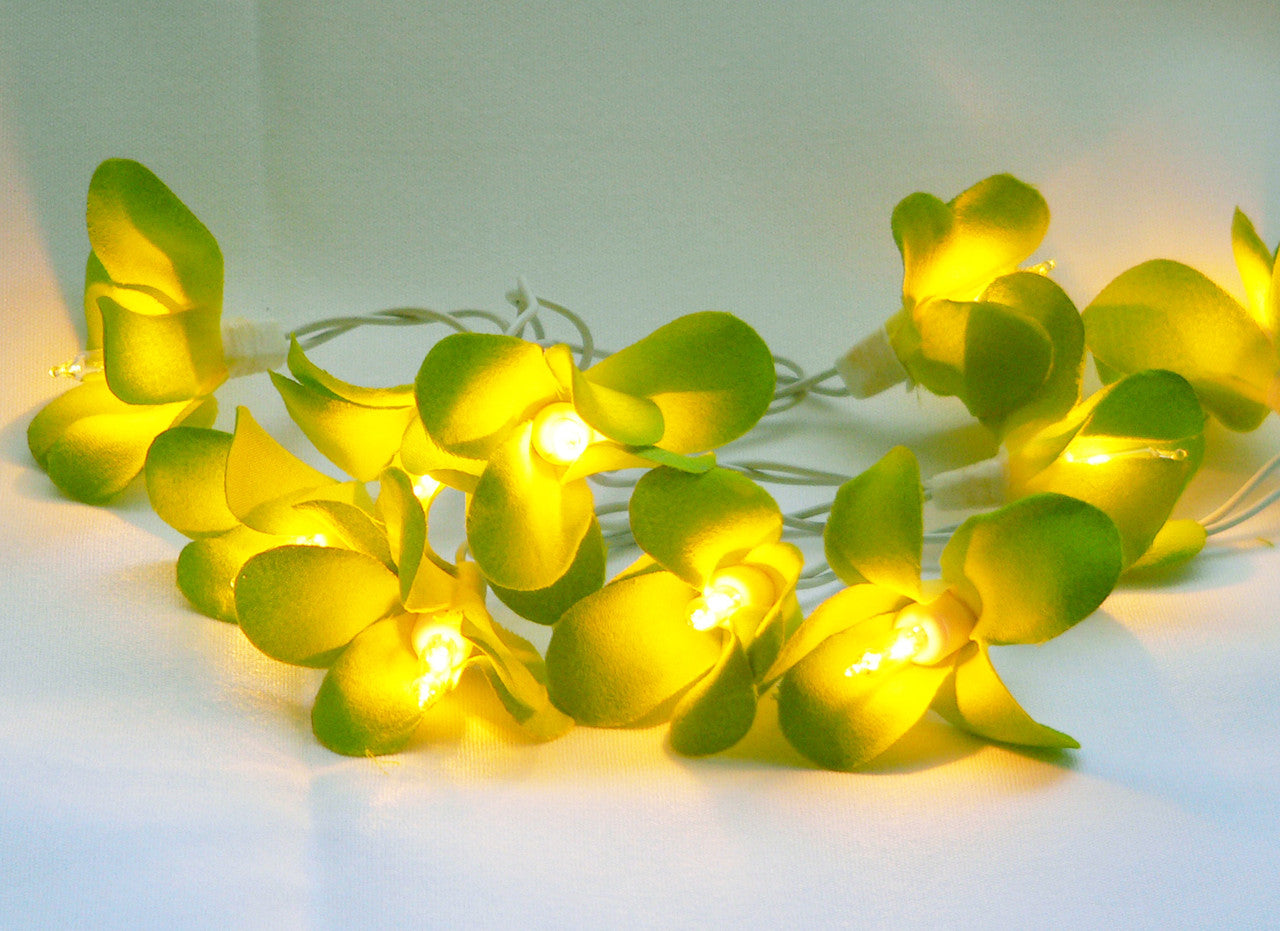 1 Set of 20 LED Green Frangipani Flower Battery String Lights Christmas Gift Home Wedding Party Decoration Outdoor Table Garland Wreath-4