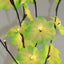 1 Set of 50cm H 20 LED Green Frangipani Tree Branch Stem Fairy Light Wedding Event Party Function Table Vase Centrepiece Tropical Decoration-1