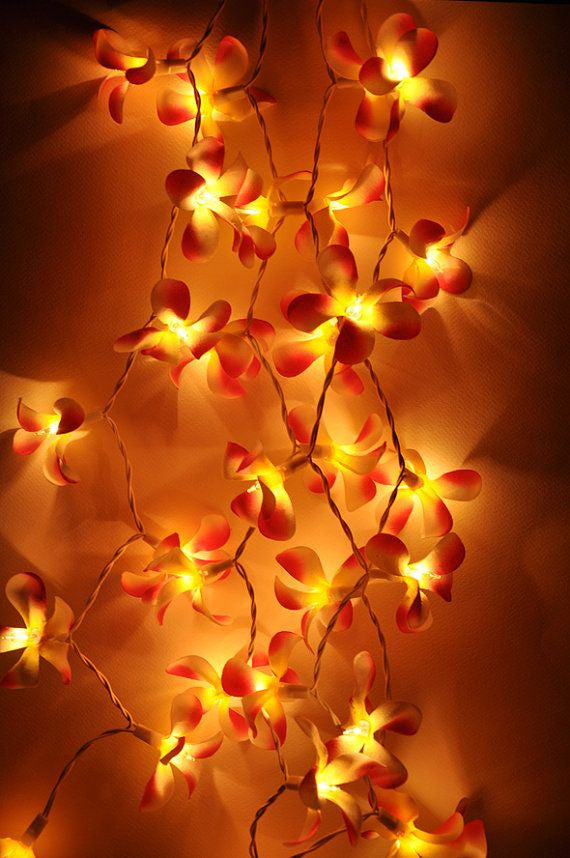 1 Set of 20 LED Orange Frangipani Flower Battery String Lights Christmas Gift Home Wedding Party Decoration Outdoor Table Garland Wreath-2