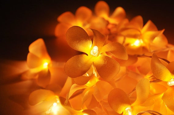 1 Set of 20 LED Orange Frangipani Flower Battery String Lights Christmas Gift Home Wedding Party Decoration Outdoor Table Garland Wreath-4