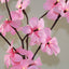 1 Set of 50cm H 20 LED Pink Frangipani Tree Branch Stem Fairy Light Wedding Event Party Function Table Vase Centrepiece Decoration Girl Bedroom-2