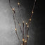 LED Light Bunch Stem - Warm White BATTERY fairy lights - 50cm high 20 bulbs/petals-5