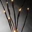 LED Light Bunch Stem - Warm White BATTERY fairy lights - 50cm high 20 bulbs/petals-6