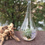 10 Pack of Hanging Clear Glass Tealight Candle Holder Tear Drop Pear Hour Glass Shape - 20cm High Terrarium Plant Mini Garden Holder Decoration Craft Gift-4