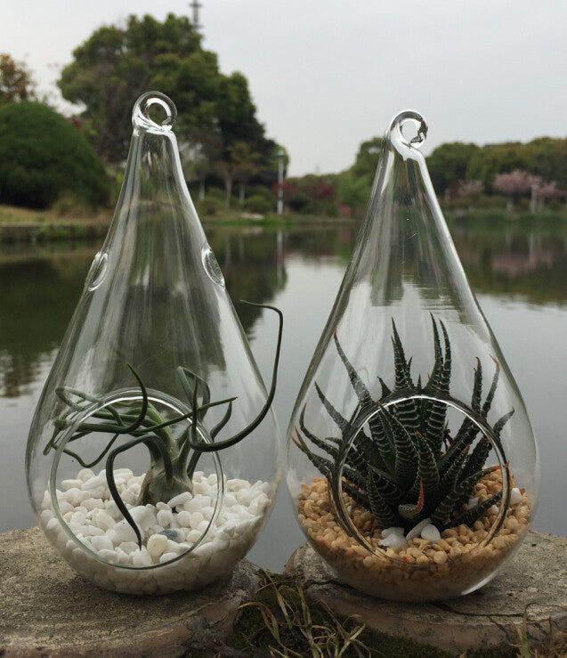 10 Pack of Hanging Clear Glass Tealight Candle Holder Tear Drop Pear Hour Glass Shape - 20cm High Terrarium Plant Mini Garden Holder Decoration Craft Gift-5