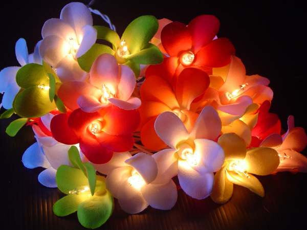 1 Set of 20 LED Tropical Bright Colous Frangipani Flower Battery String Lights Christmas Gift Home Wedding Party Decoration Outdoor Table Centrepiece-2