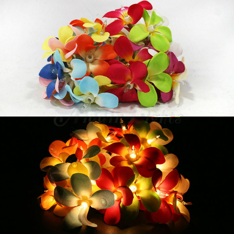 1 Set of 20 LED Tropical Bright Colous Frangipani Flower Battery String Lights Christmas Gift Home Wedding Party Decoration Outdoor Table Centrepiece-3