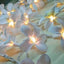 1 Set of 20 LED White Frangipani Flower Battery String Lights Christmas Gift Home Wedding Beach Party Decoration Outdoor Table Centrepiece-1