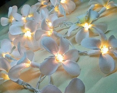 1 Set of 20 LED White Frangipani Flower Battery String Lights Christmas Gift Home Wedding Beach Party Decoration Outdoor Table Centrepiece-1